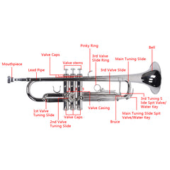 Szzzp Nickelplated Drop B Adjustable Trumpet Gloves Set Silver