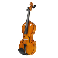 Szzzp Full Size 4/4 Violin Set for Adults Beginners Students with Hard Case,Violin Bow,Shoulder Rest,Rosin,Extra Strings and Sordine