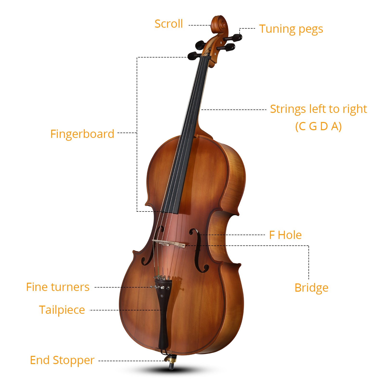 Szzzp Full Side 4/4 Matte Natural Color Spruce Panel Cello with Bag Bow Rosin Bridge Strings