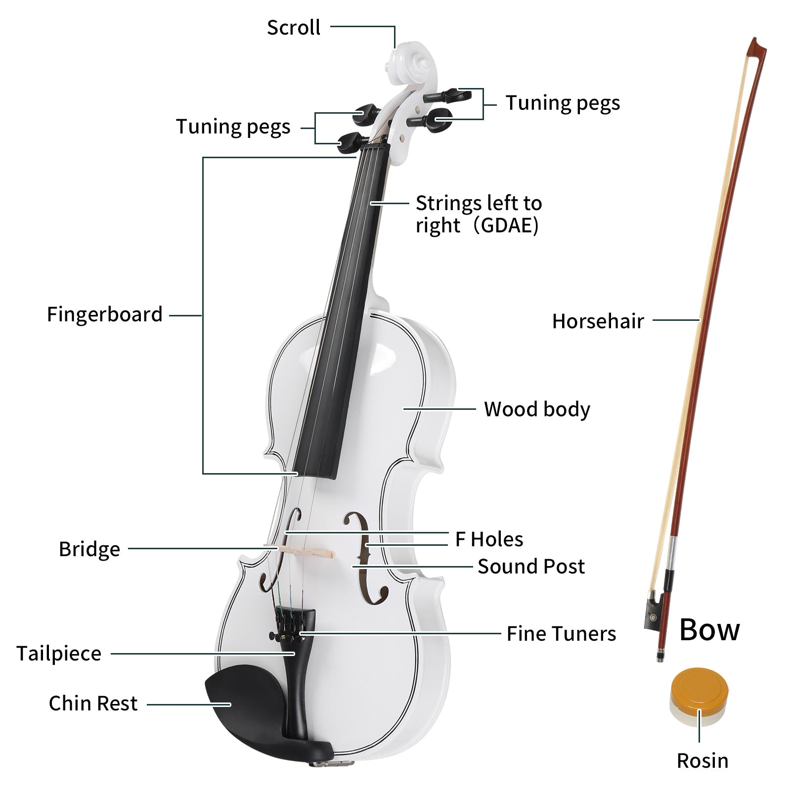 Szzzp Full Size 4/4 Violin Set for Adults Beginners Students with Hard Case,Violin Bow,Shoulder Rest,Rosin,Extra Strings and Sordine
