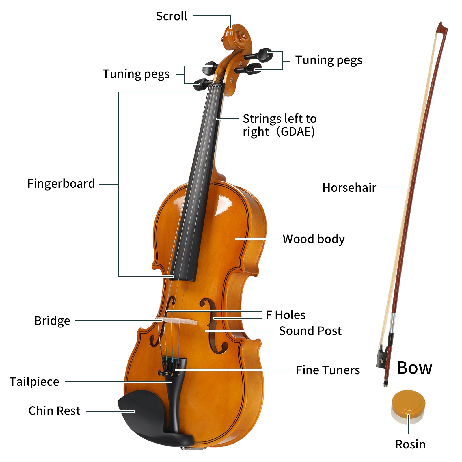 Szzzp Full Size 4/4 Violin Set for Adults Beginners Students with Hard Case,Violin Bow,Shoulder Rest,Rosin,Extra Strings and Sordine