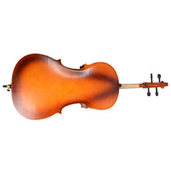 Szzzp 4/4 Acoustic Cello Case Bow Rosin Wood
