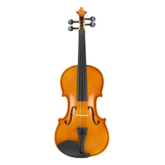 Szzzp Full Size 4/4 Violin Set for Adults Beginners Students with Hard Case,Violin Bow,Shoulder Rest,Rosin,Extra Strings and Sordine