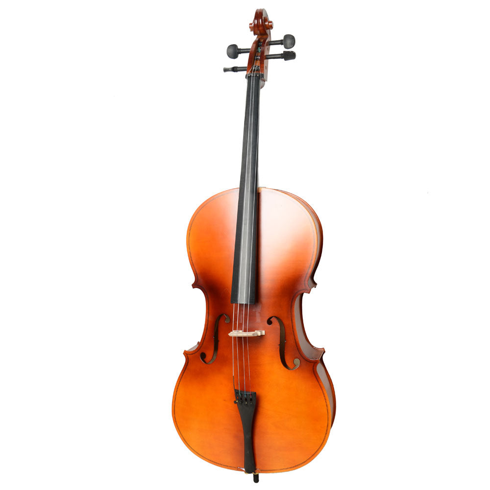 Szzzp 4/4 Acoustic Cello Case Bow Rosin Wood
