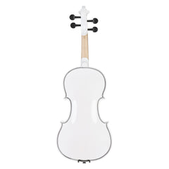 Szzzp Full Size 4/4 Violin Set for Adults Beginners Students with Hard Case,Violin Bow,Shoulder Rest,Rosin,Extra Strings and Sordine