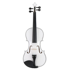 Szzzp Full Size 4/4 Violin Set for Adults Beginners Students with Hard Case,Violin Bow,Shoulder Rest,Rosin,Extra Strings and Sordine