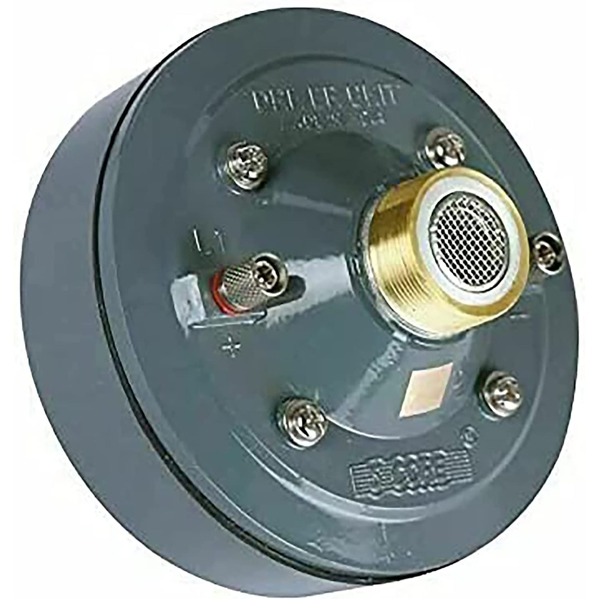 420030041