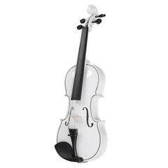 Szzzp Full Size 4/4 Violin Set for Adults Beginners Students with Hard Case,Violin Bow,Shoulder Rest,Rosin,Extra Strings and Sordine