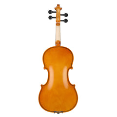 Szzzp Full Size 4/4 Violin Set for Adults Beginners Students with Hard Case,Violin Bow,Shoulder Rest,Rosin,Extra Strings and Sordine
