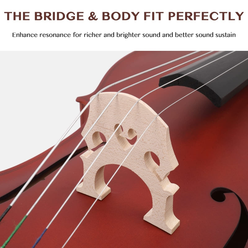 Glarry GC101 4/4 Full-Size Acoustic Cello - Matte