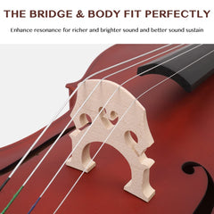 Glarry GC101 4/4 Full-Size Acoustic Cello - Matte